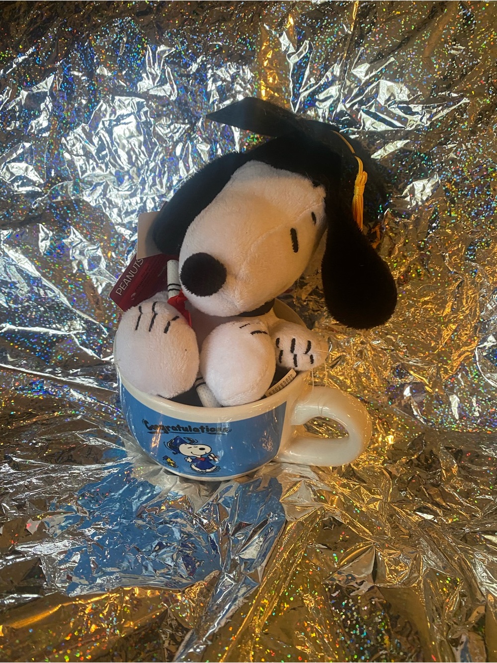 Peanuts Snoopy Graduation Plush & Mug NWT